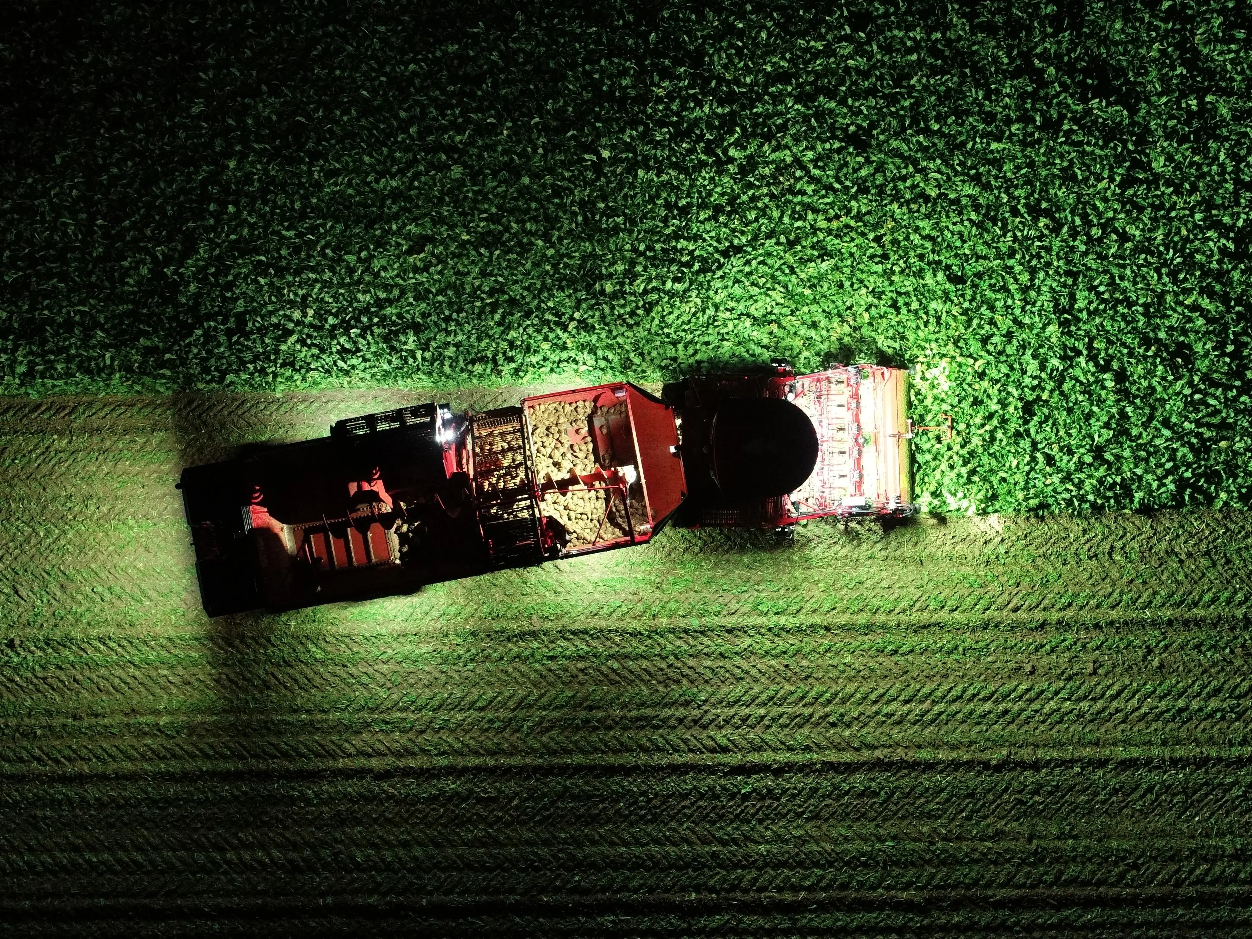 Aerial view of a Holmer Terra Dos beet harvester working in a field at night